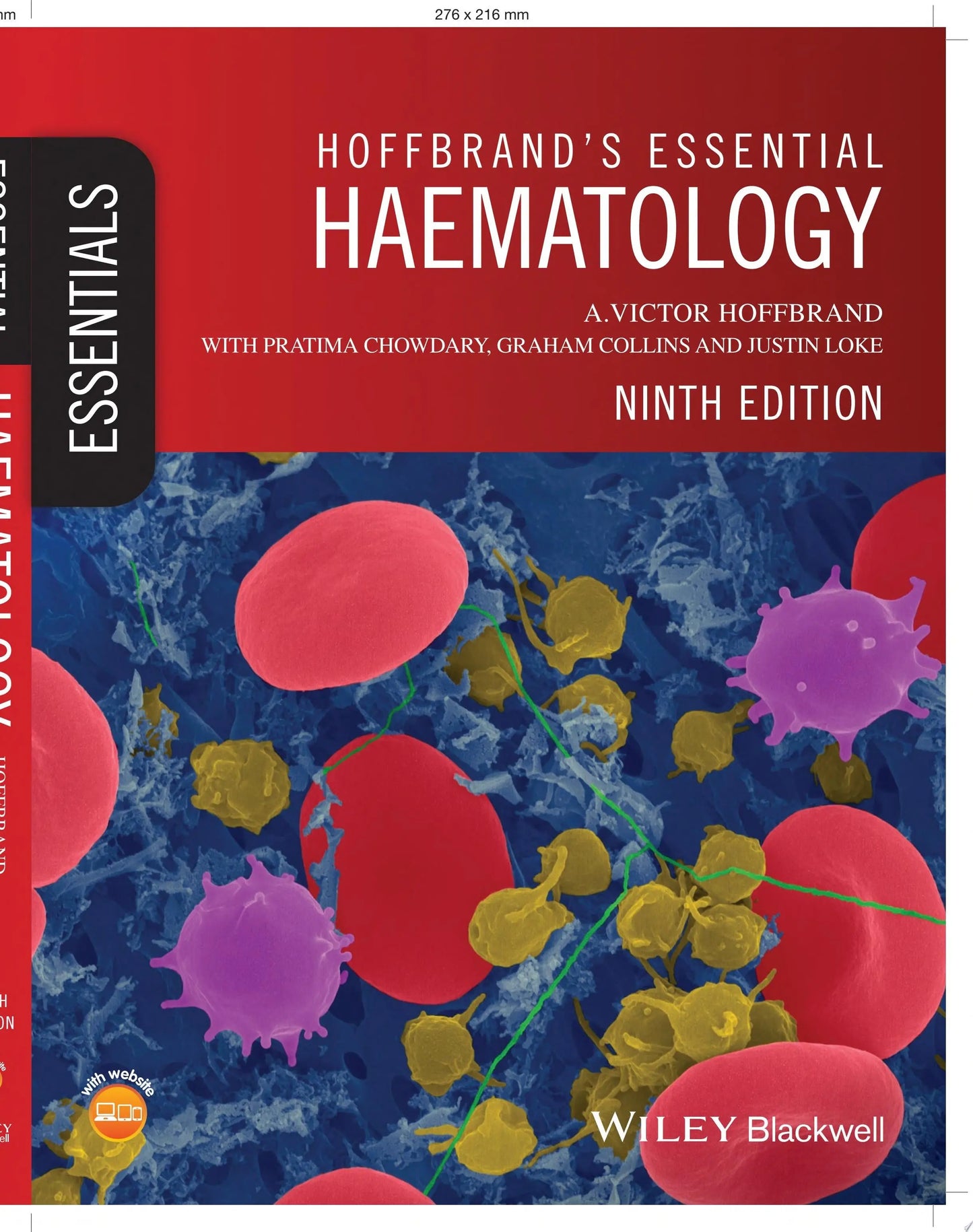 Hoffbrand's Essential Haematology by A. Victor Hoffbrand – book cover
