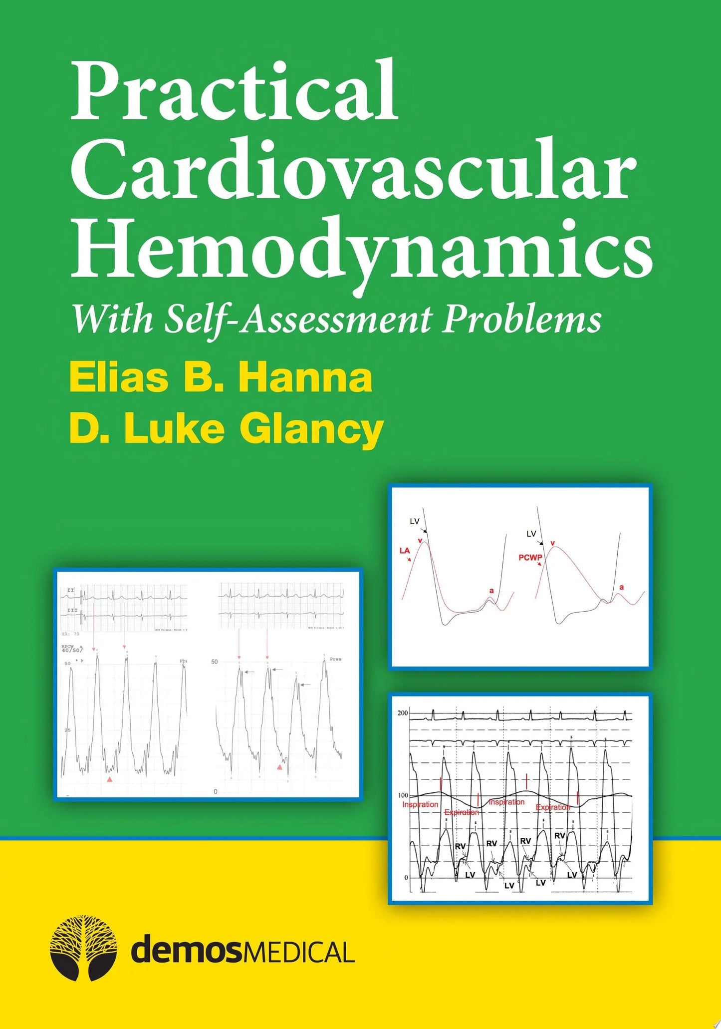 Practical Cardiovascular Hemodynamics With Self-assessment Problems by Elias B. Hanna – book cover