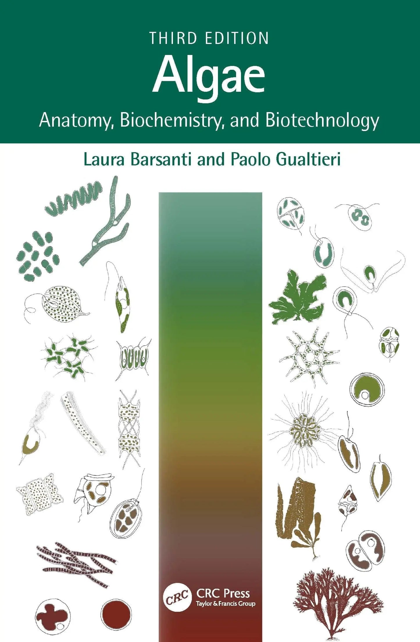 Algae Anatomy, Biochemistry, and Biotechnology by Laura Barsanti – book cover