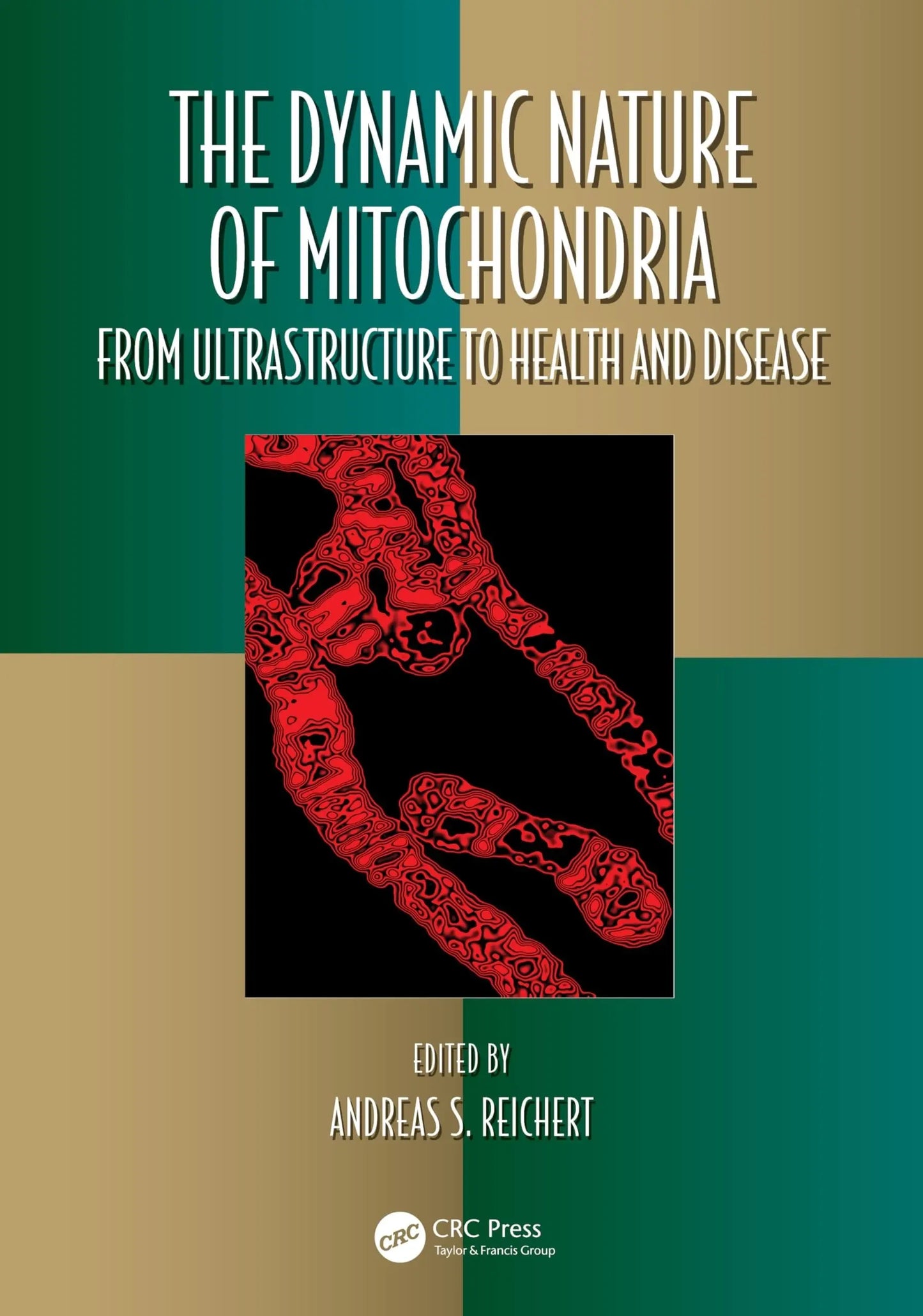 The Dynamic Nature of Mitochondria From Ultrastructure to Health and Disease by Andreas S. Reichert – book cover