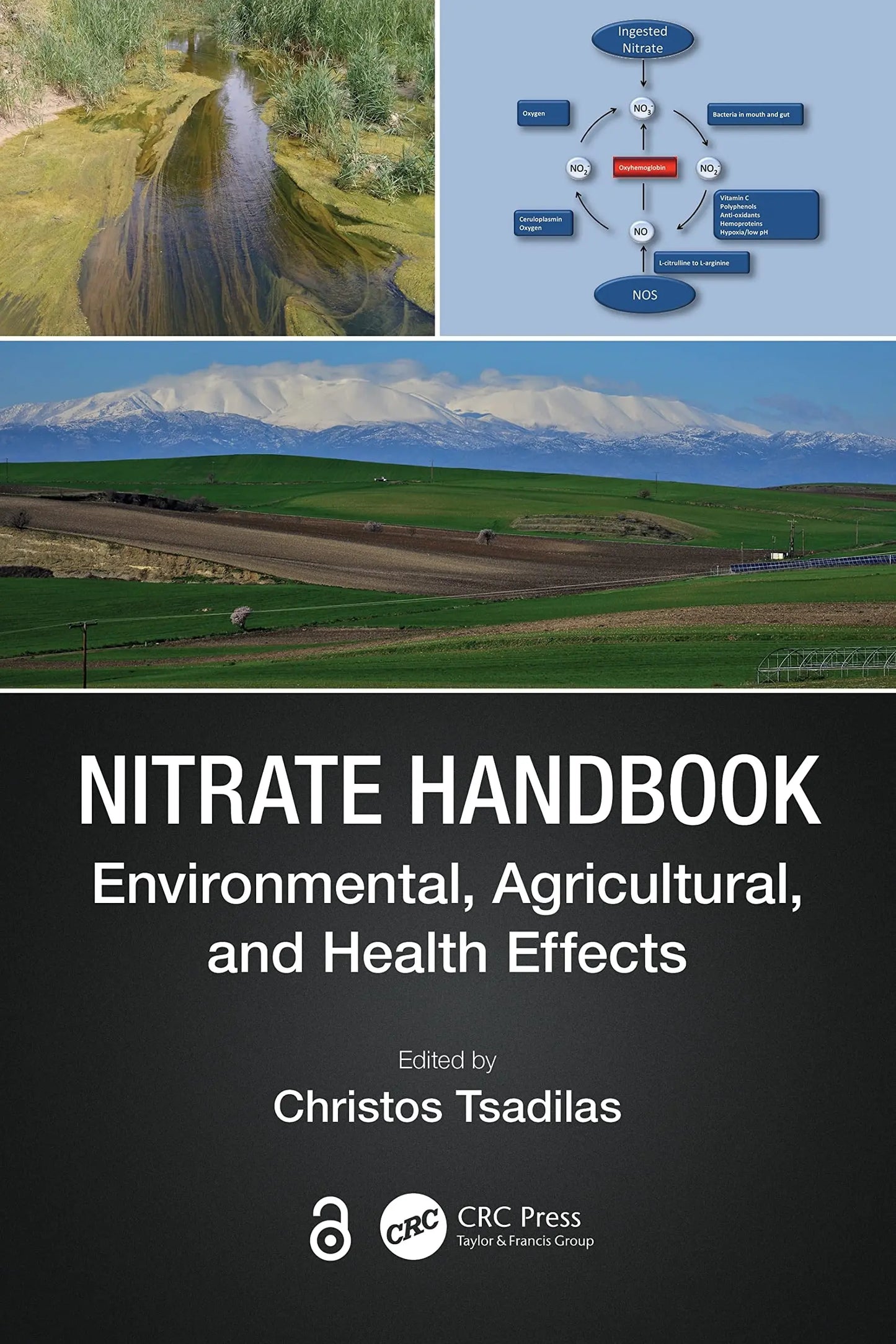 Nitrate Handbook Environmental, Agricultural, and Health Effects by Christos Tsadilas – book cover