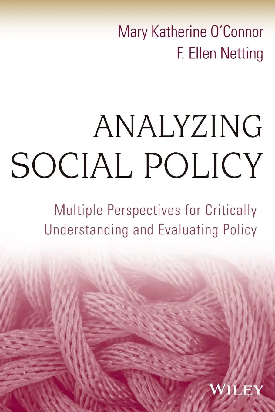 Analyzing Social Policy Multiple Perspectives for Critically Understanding and Evaluating Policy by Mary – book cover