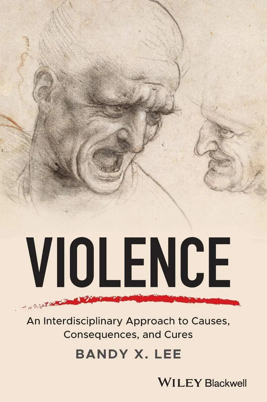 Violence An Interdisciplinary Approach to Causes, Consequences, and Cures by Bandy X. Lee – book cover