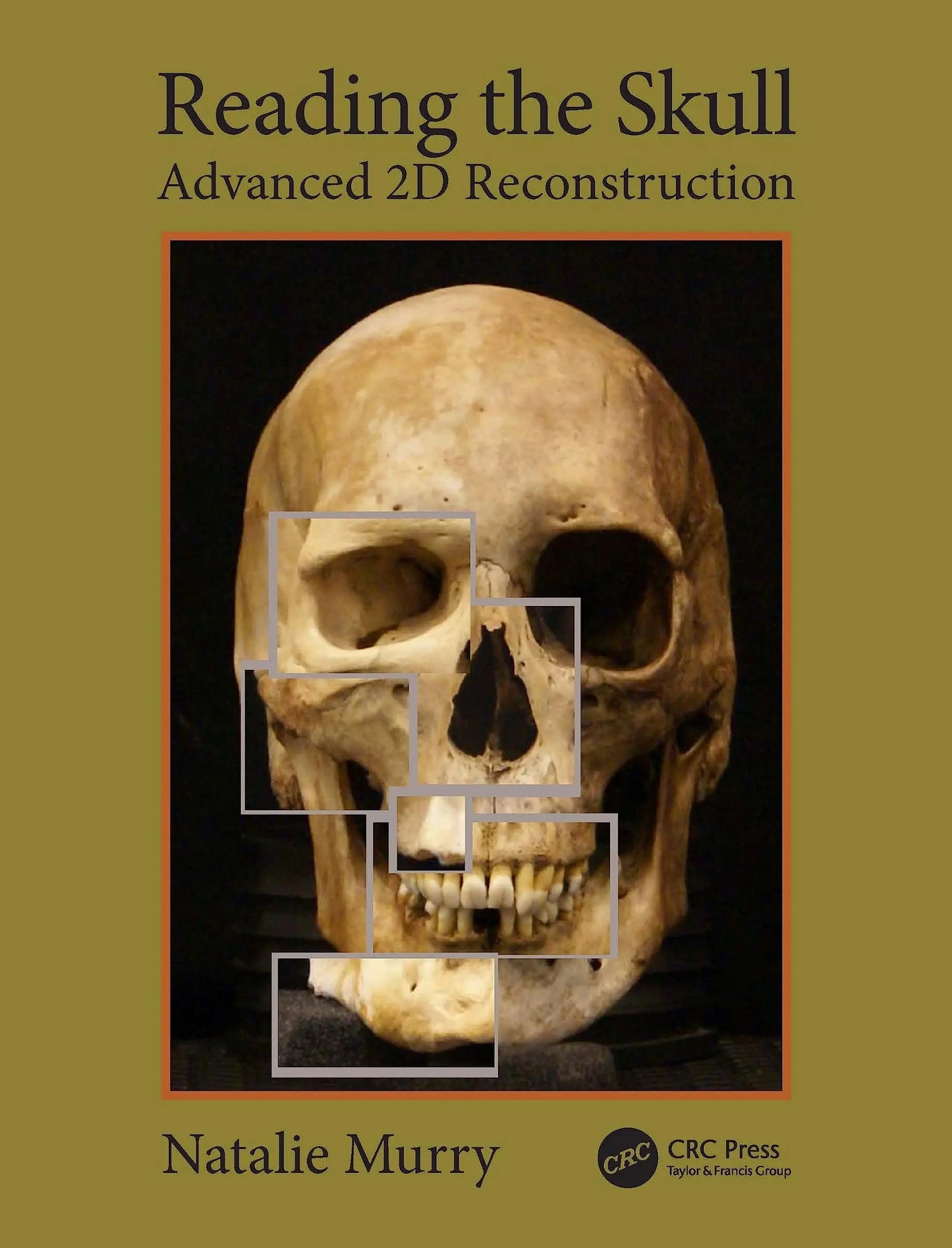 Reading the Skull Advanced 2D Reconstruction by Natalie Murry – book cover