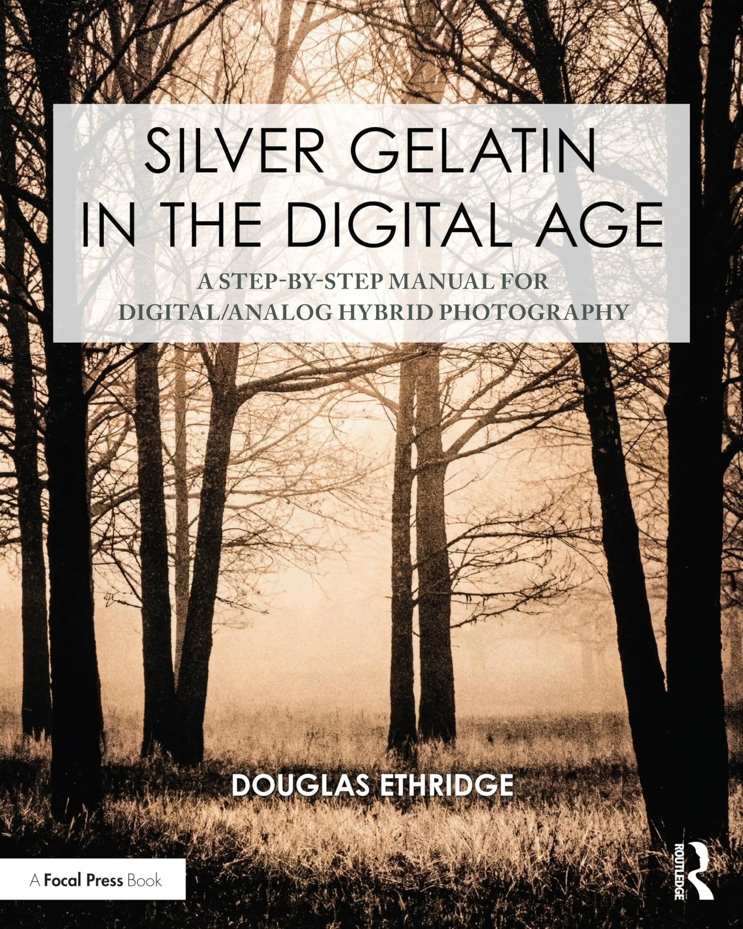 Silver Gelatin in the Digital Age A Step-By-Step Manual for Digital/Analog Hybrid Photography by Douglas – book cover