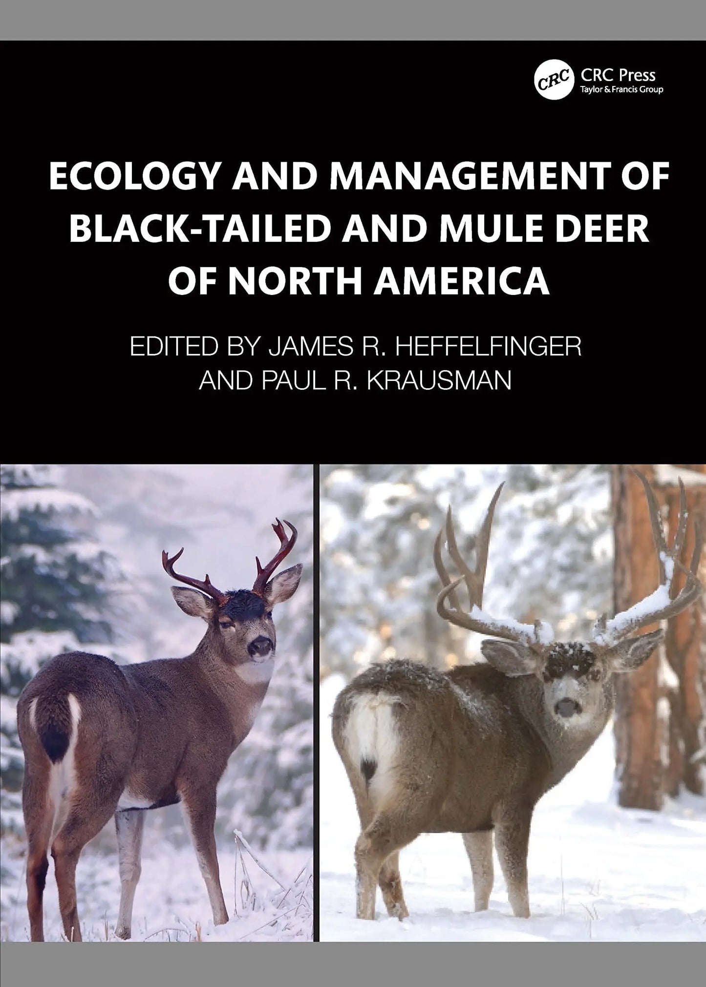Ecology and Management of Black-tailed and Mule Deer of North America by James R. Heffelfinger – book cover