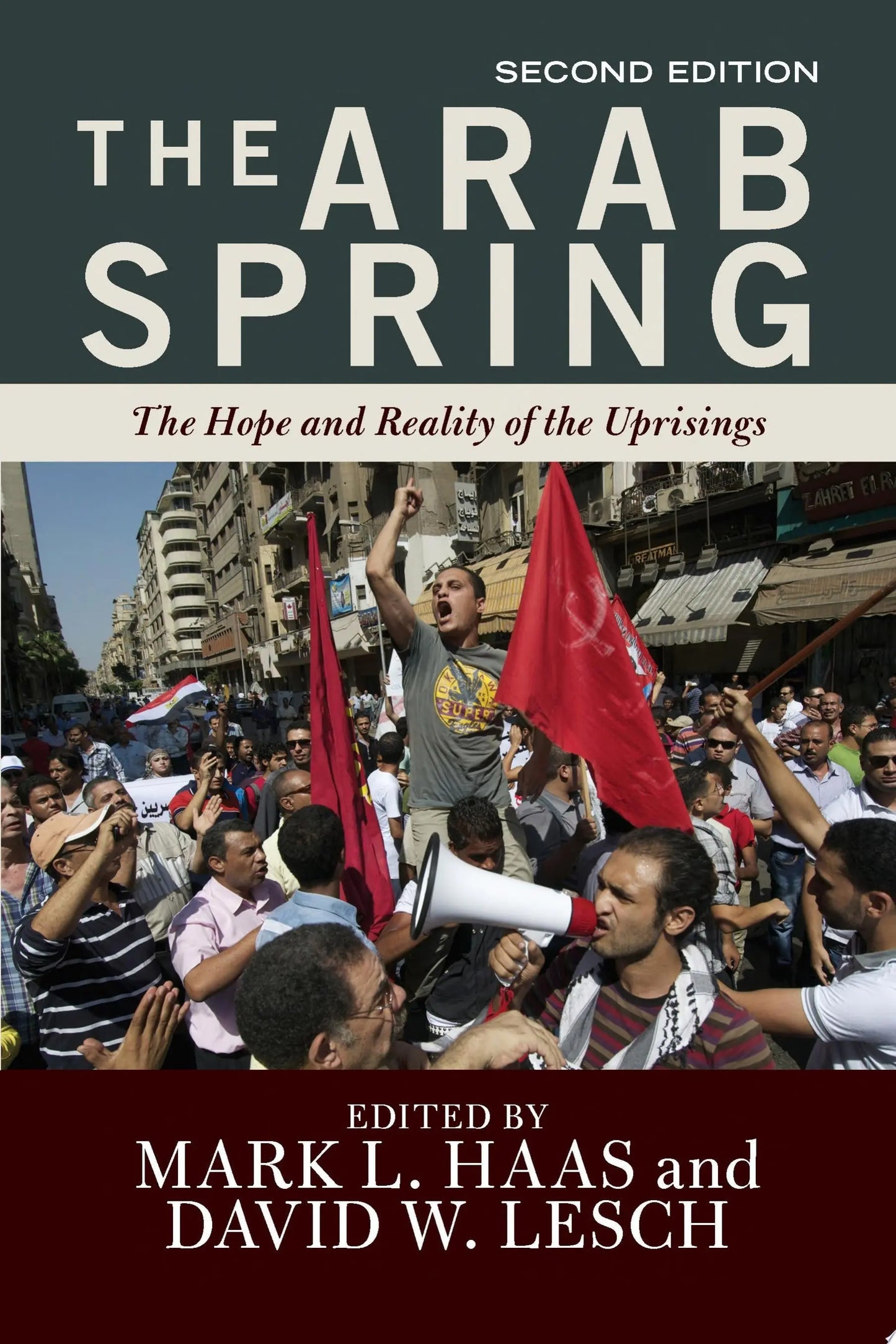 The Arab Spring The Hope and Reality of the Uprisings by David Lesch – book cover
