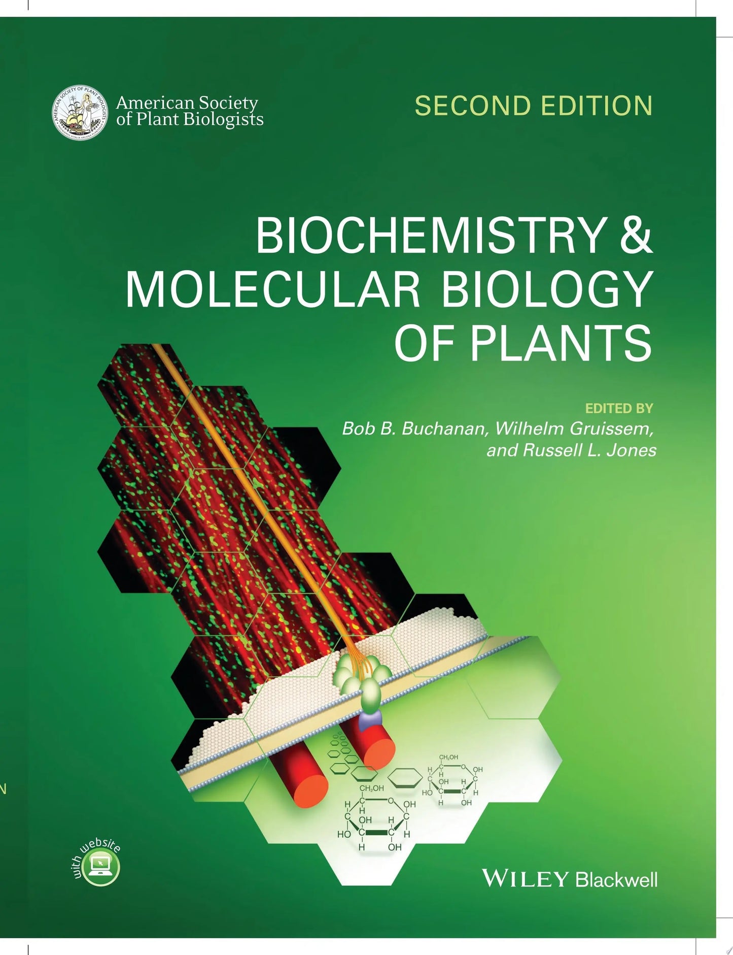 Biochemistry and Molecular Biology of Plants by Bob B. Buchanan – book cover
