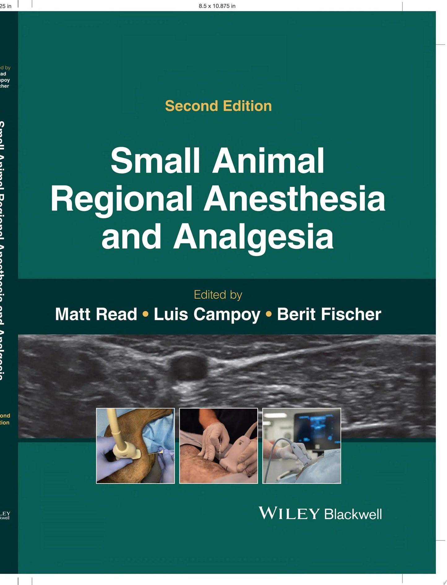 Small Animal Regional Anesthesia and Analgesia by Matt R. Read – book cover