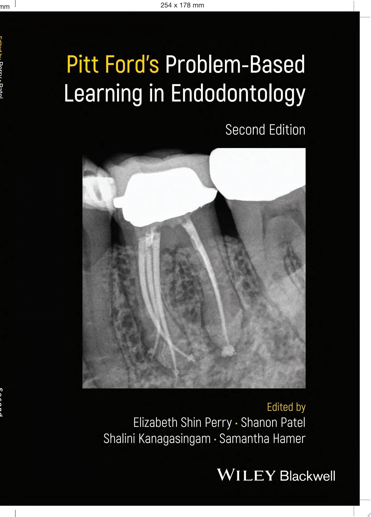 Pitt Ford's Problem-Based Learning in Endodontology by Elizabeth Shin Perry – book cover