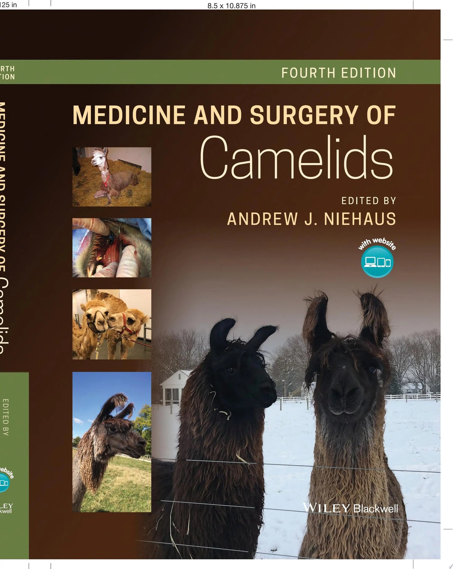Medicine and Surgery of Camelids by Andrew J. Niehaus – book cover