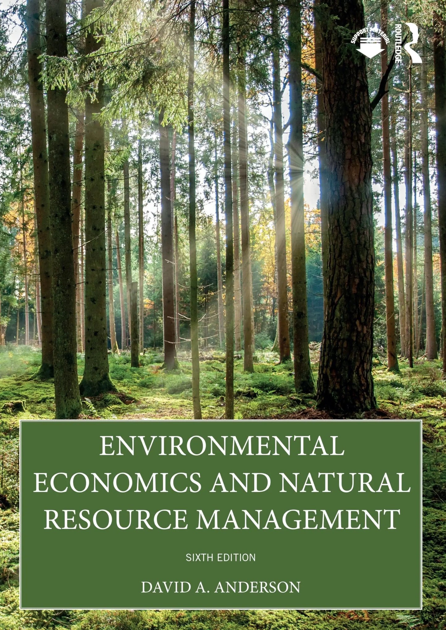 Environmental Economics and Natural Resource Management by David A. Anderson – book cover