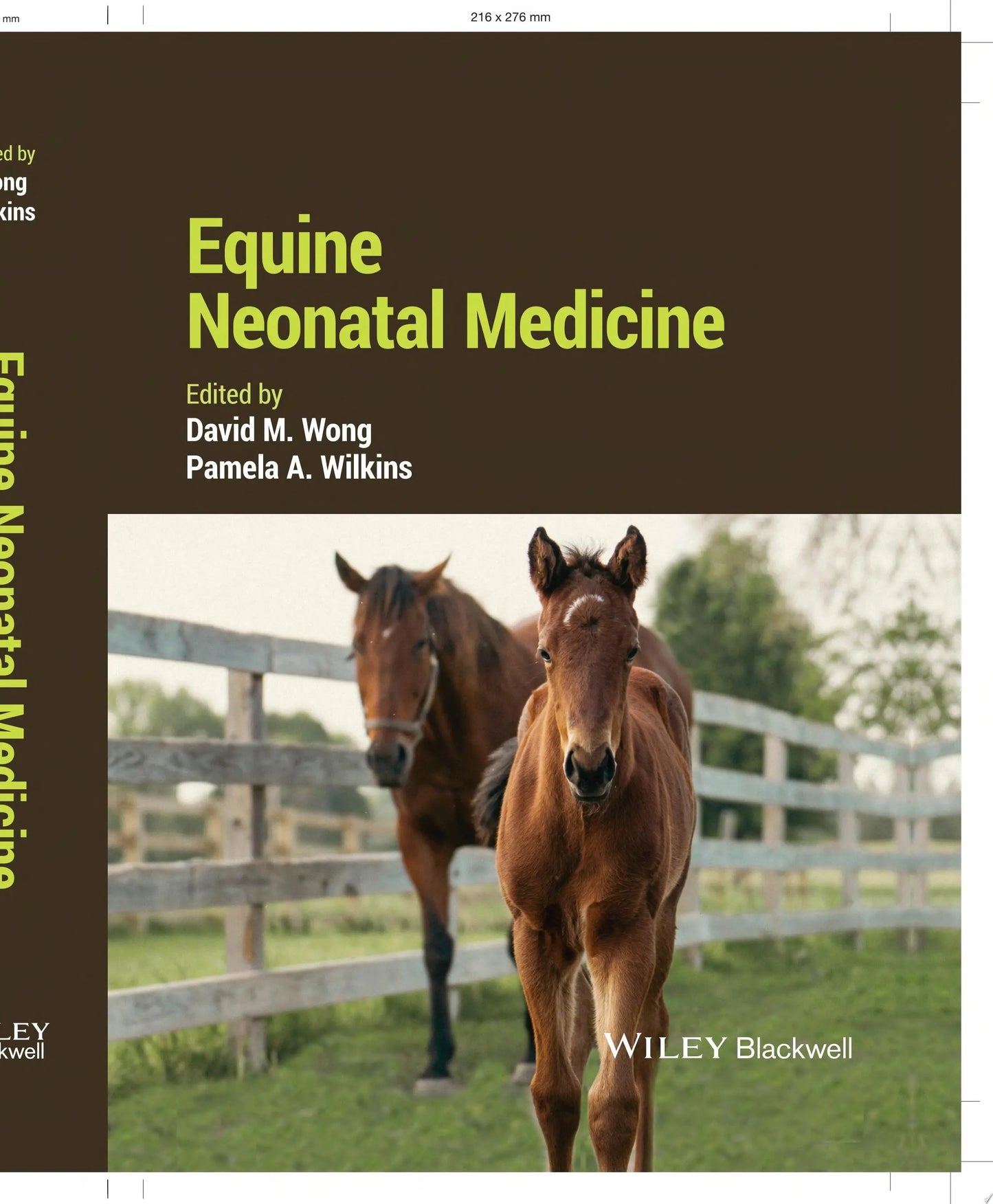 Equine Neonatal Medicine by David M. Wong – book cover
