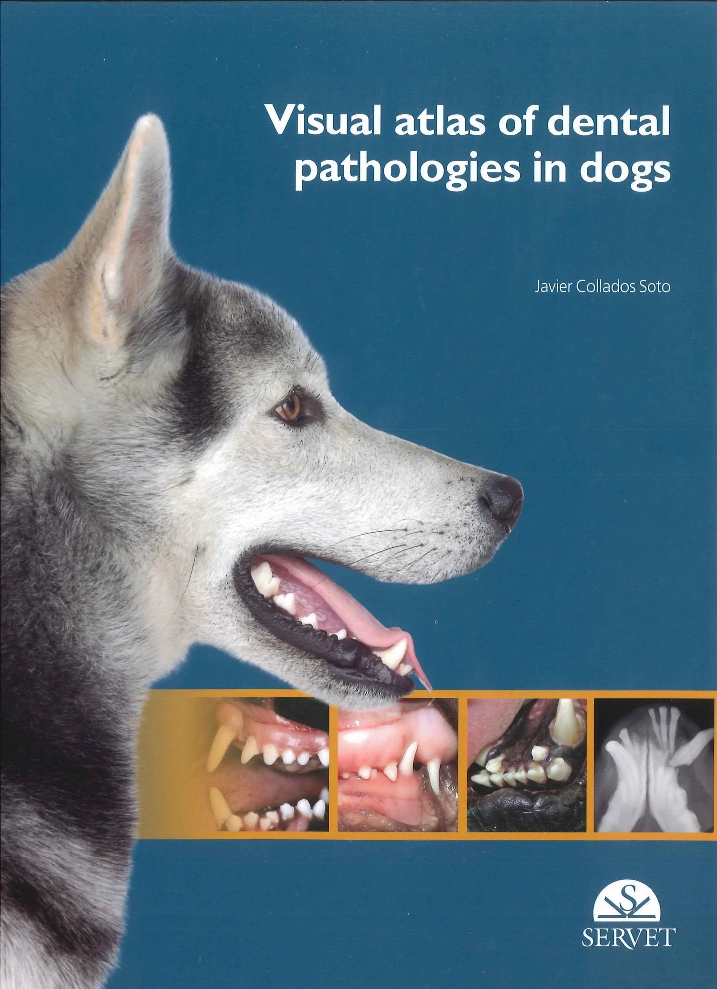 Visual Atlas of Dental Pathologies in Dogs by Javier Collados Soto – book cover