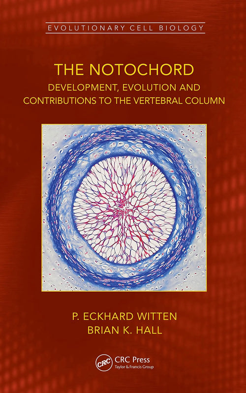 The Notochord Development, Evolution and Contributions to the Vertebral Column by P. Eckhard Witten