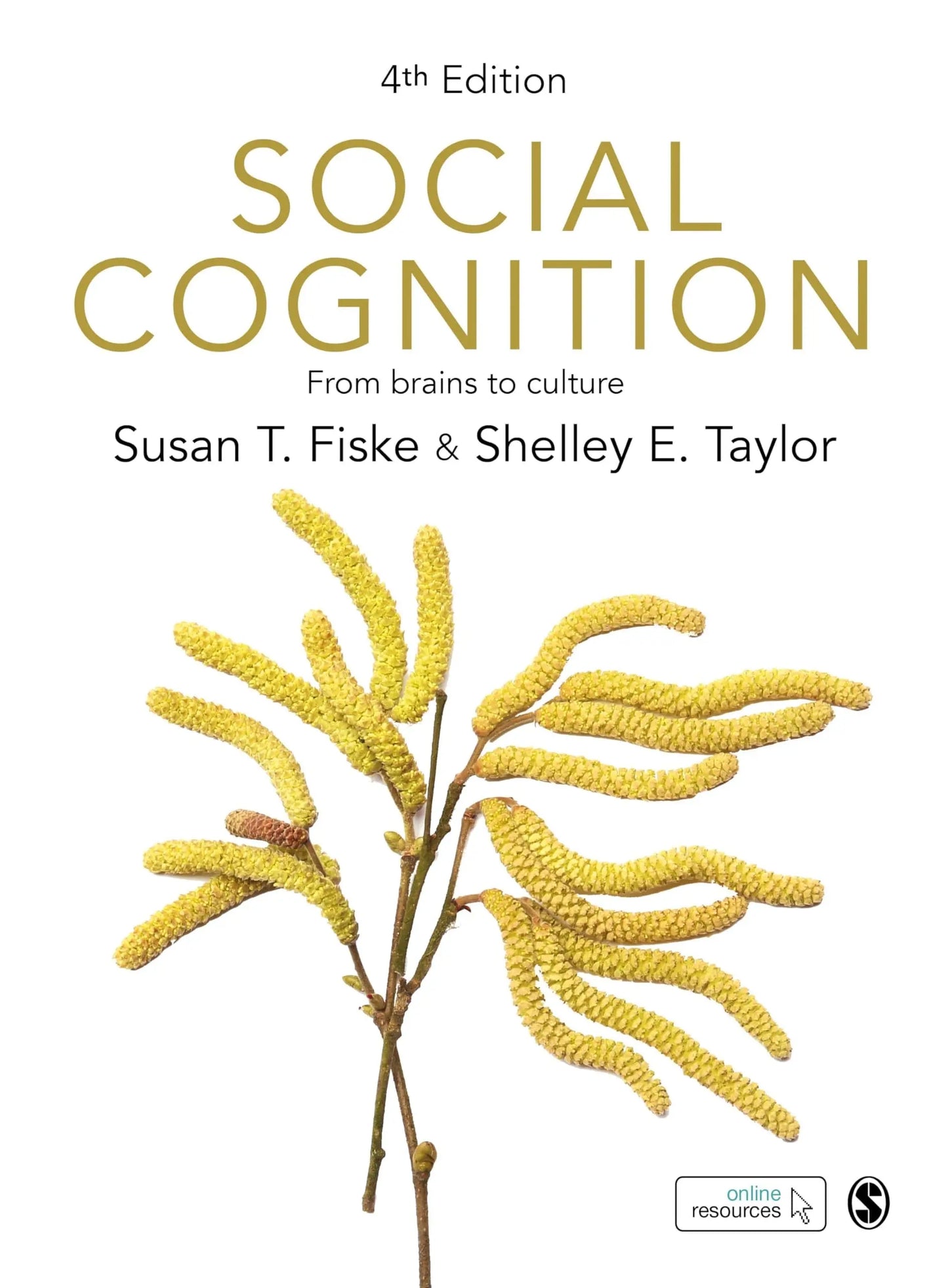 Social Cognition From Brains to Culture by Susan T. Fiske – book cover
