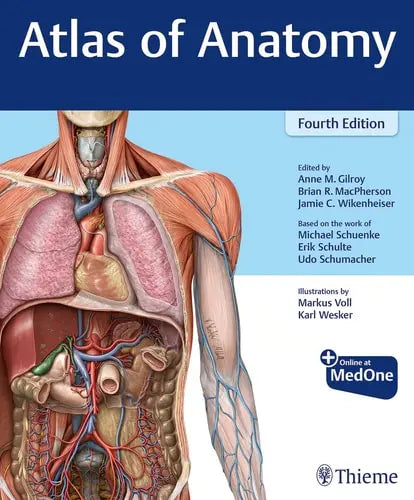 Atlas of Anatomy Thieme