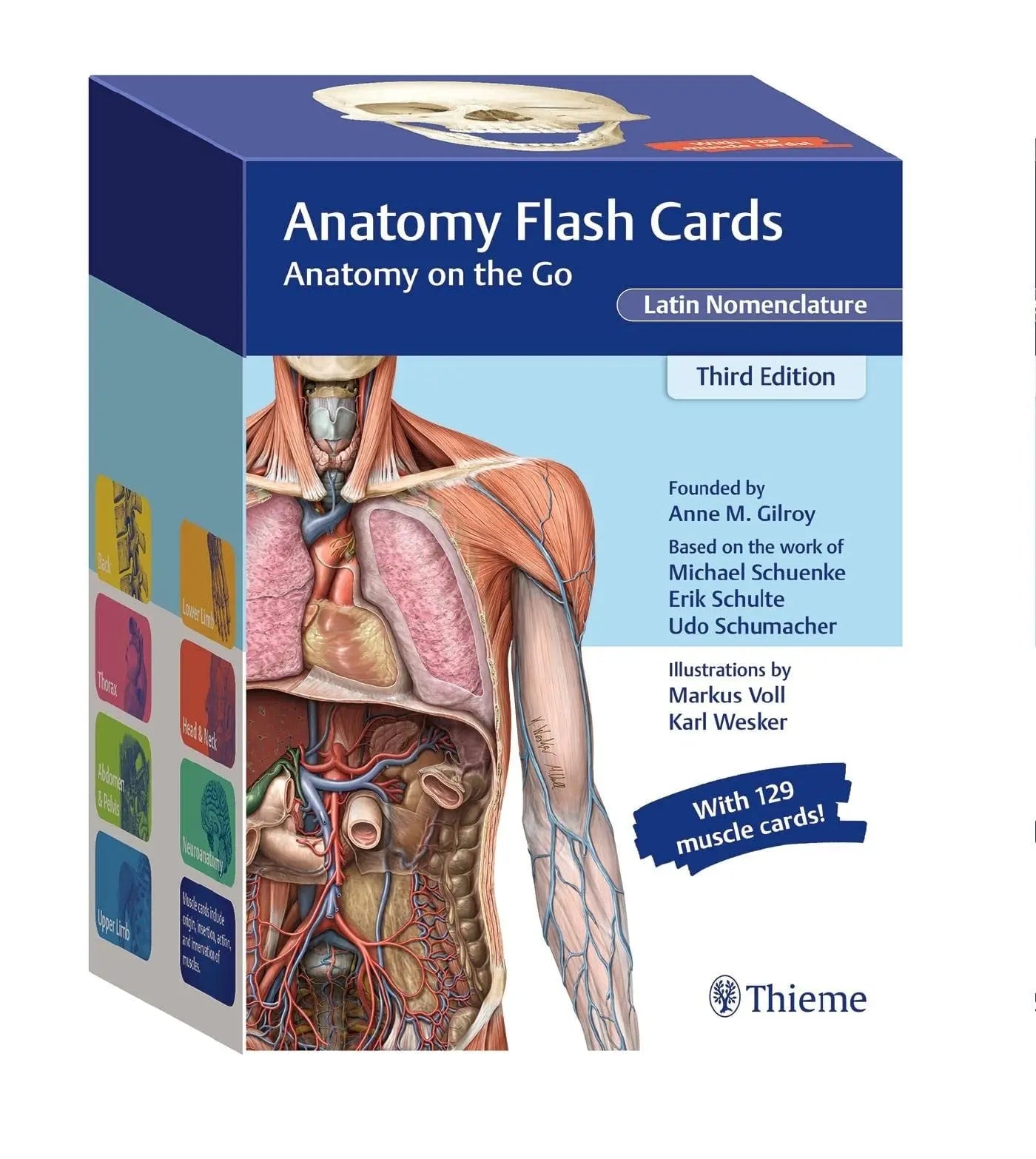 Anatomy Flash Cards, Latin Nomenclature Anatomy on the Go by Anne M. Gilroy – book cover