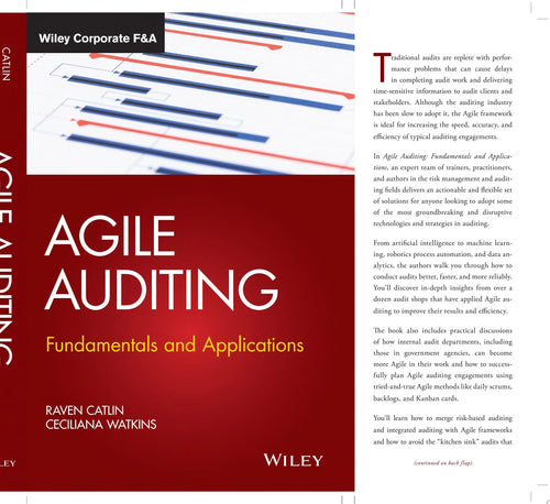Agile Auditing Fundamentals and Applications by Raven Catlin