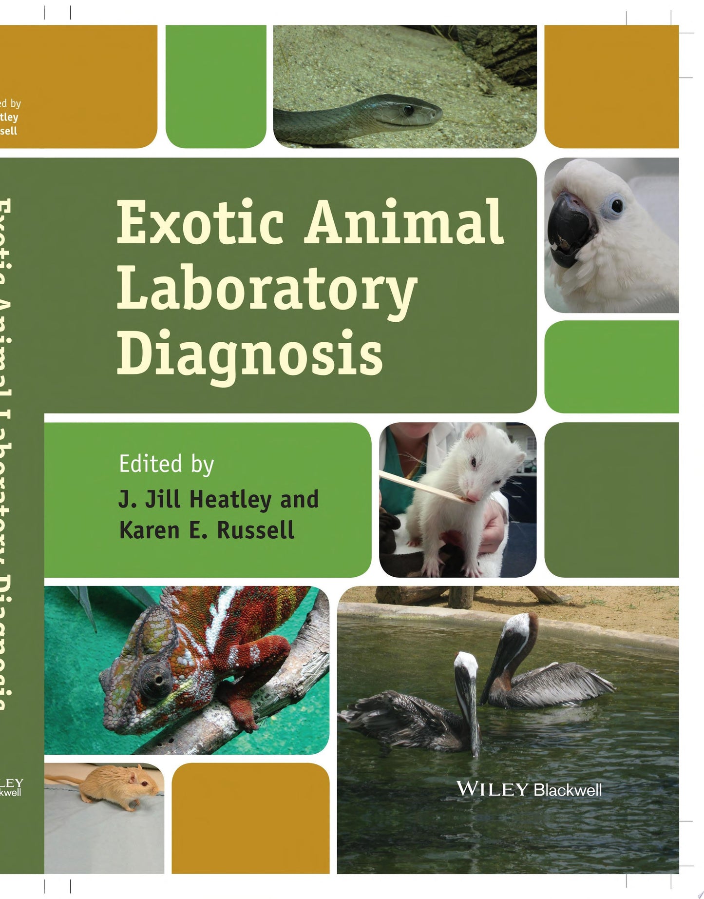 Exotic Animal Laboratory Diagnosis John Wiley & Sons