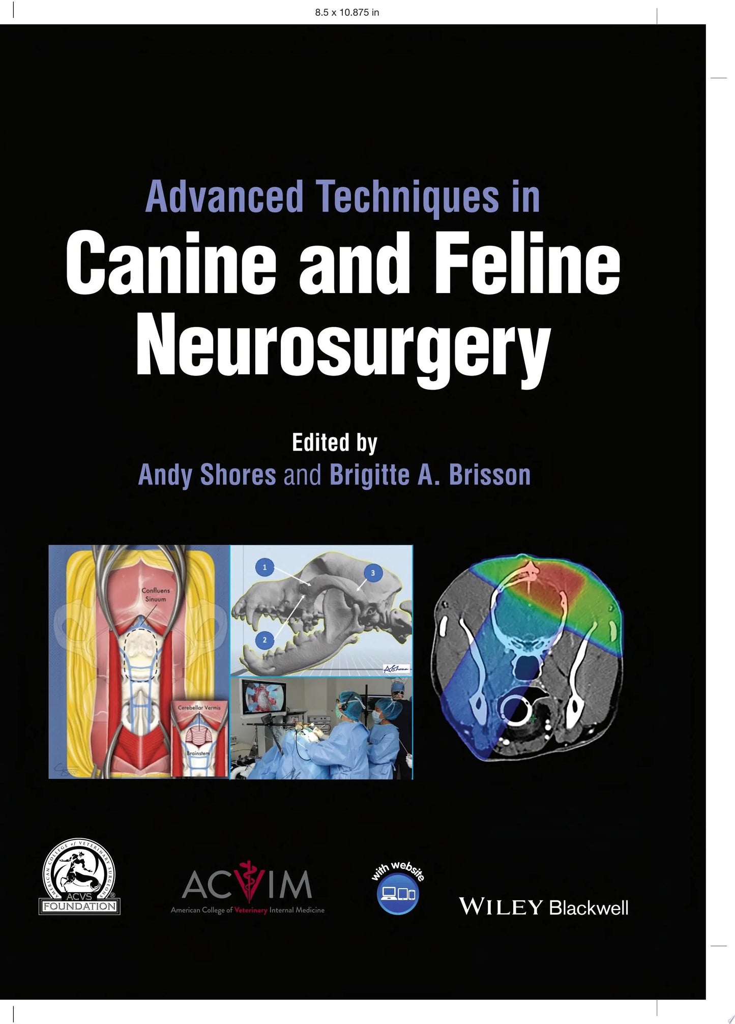 Advanced Techniques in Canine and Feline Neurosurgery by Andy Shores – book cover