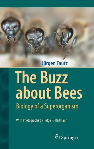 The Buzz about Bees: Biology of a Superorganism Springer