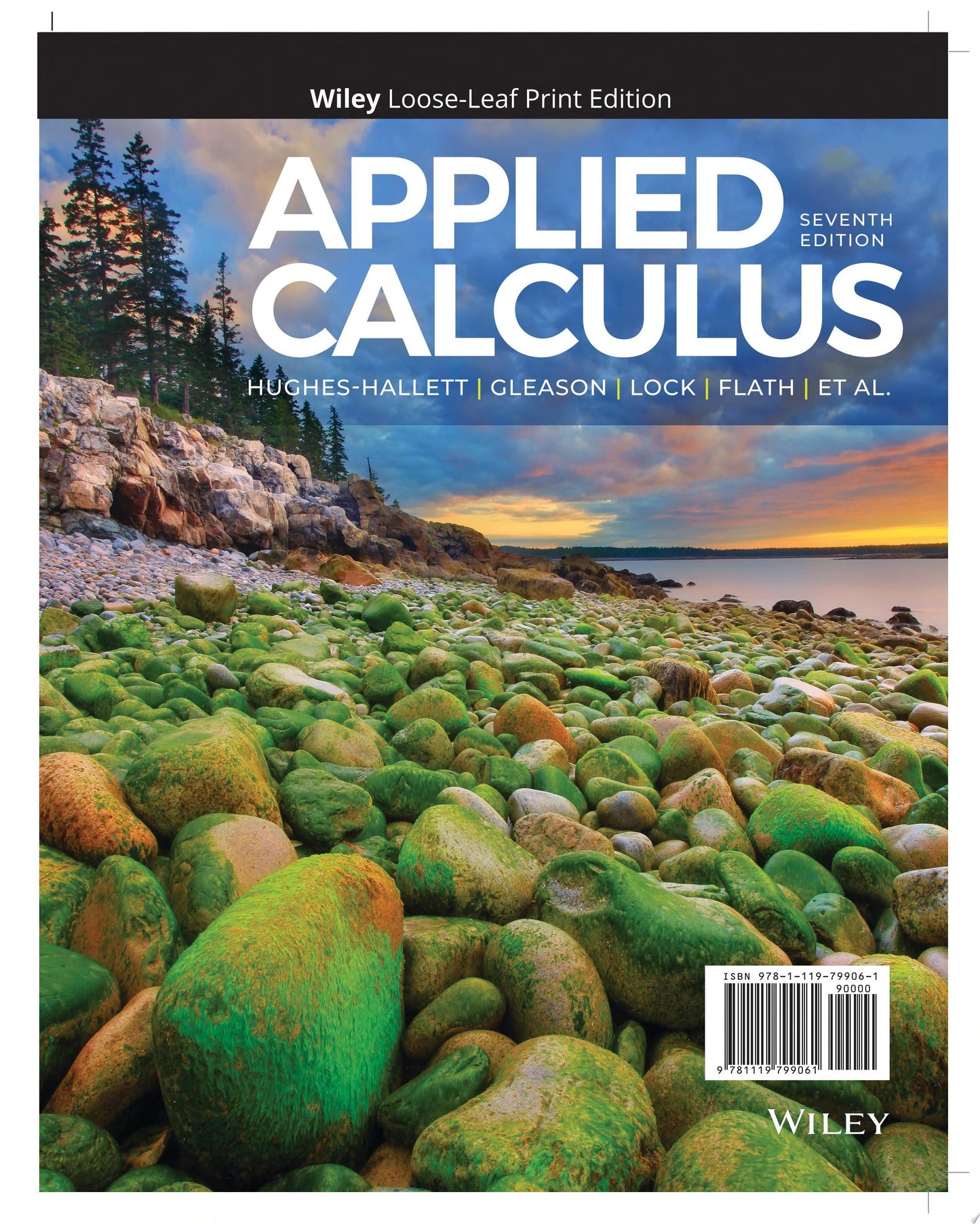 Applied Calculus John Wiley & Sons