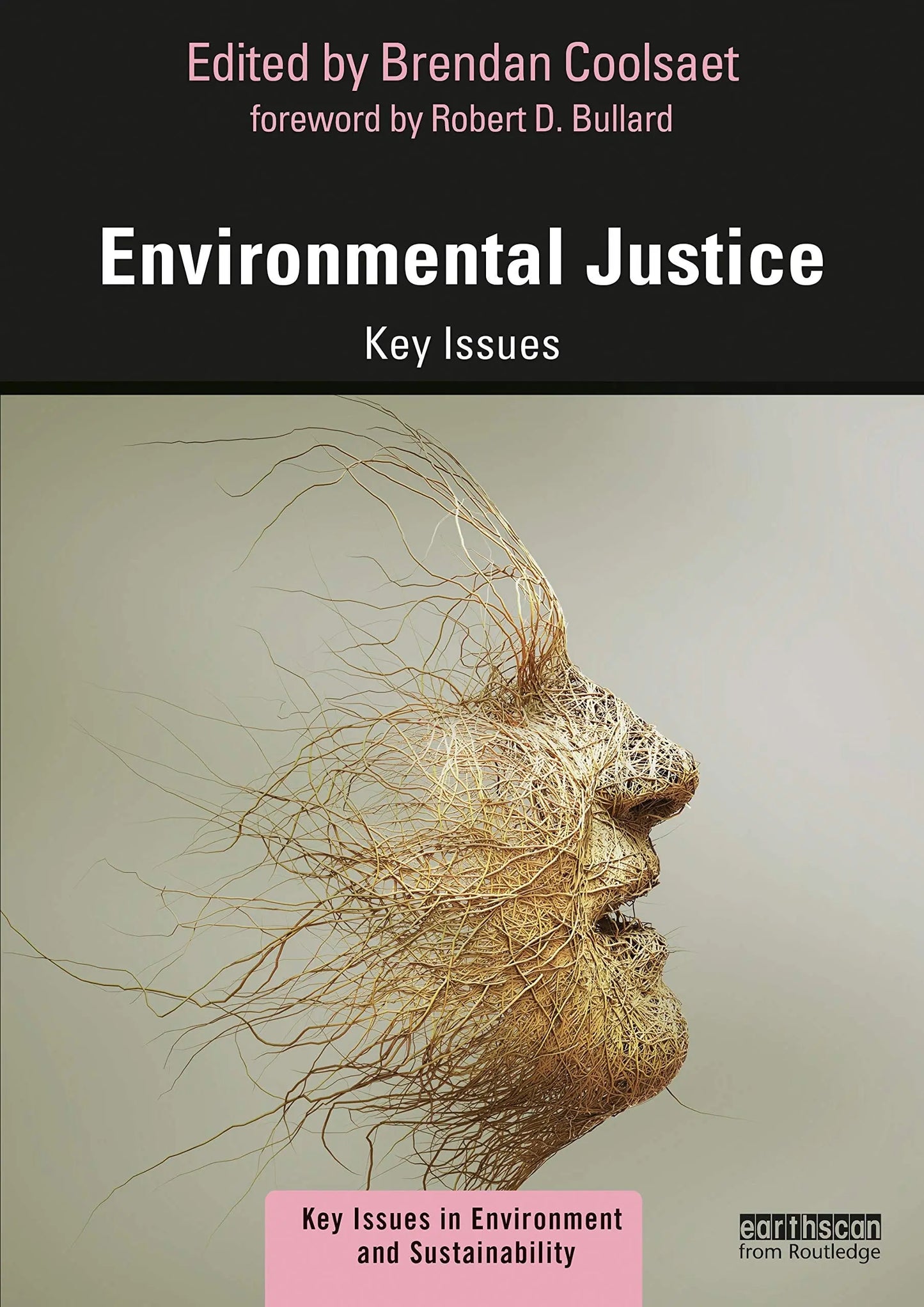 Environmental Justice Key Issues by Brendan Coolsaet – book cover