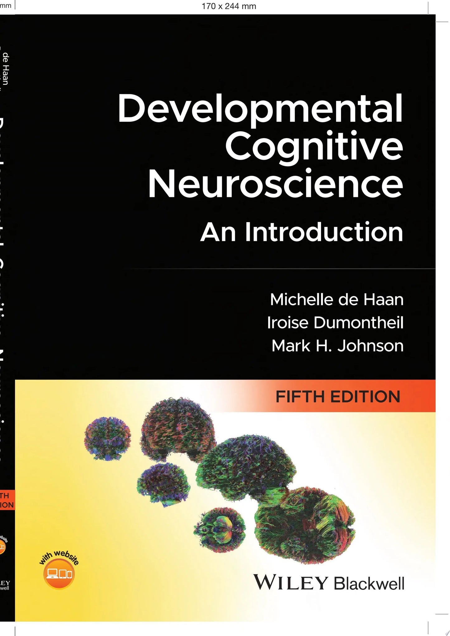 Developmental Cognitive Neuroscience An Introduction by Michelle D. H. de Haan – book cover
