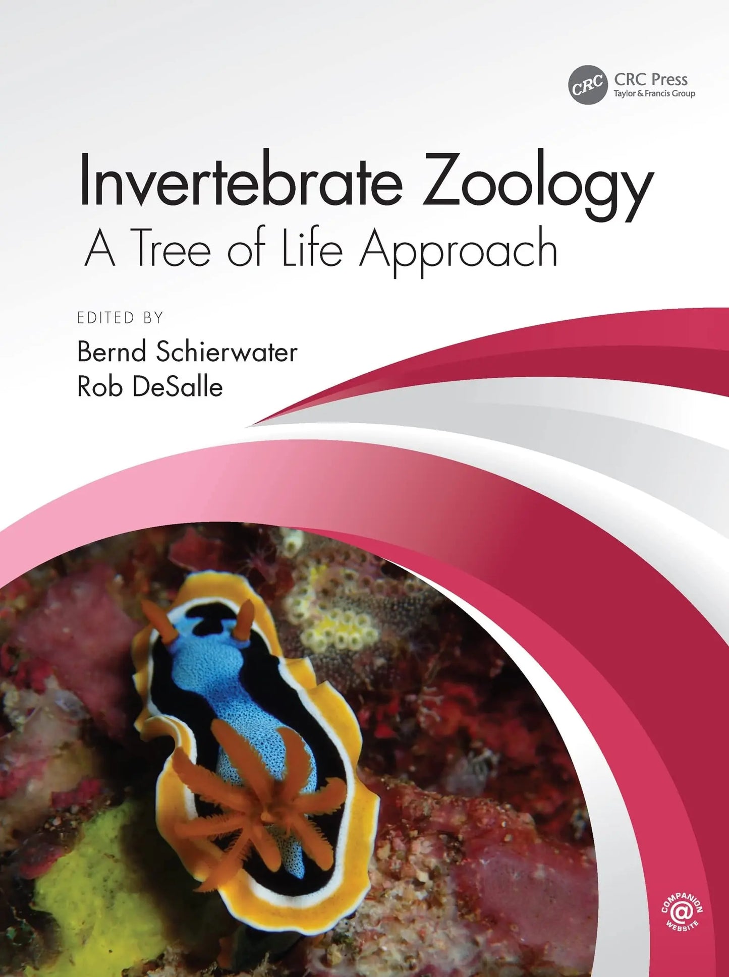 Invertebrate Zoology A Tree of Life Approach by Bernd Schierwater – book cover