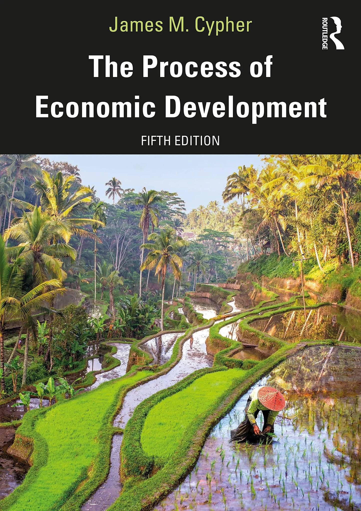 The Process of Economic Development by James M. Cypher – book cover