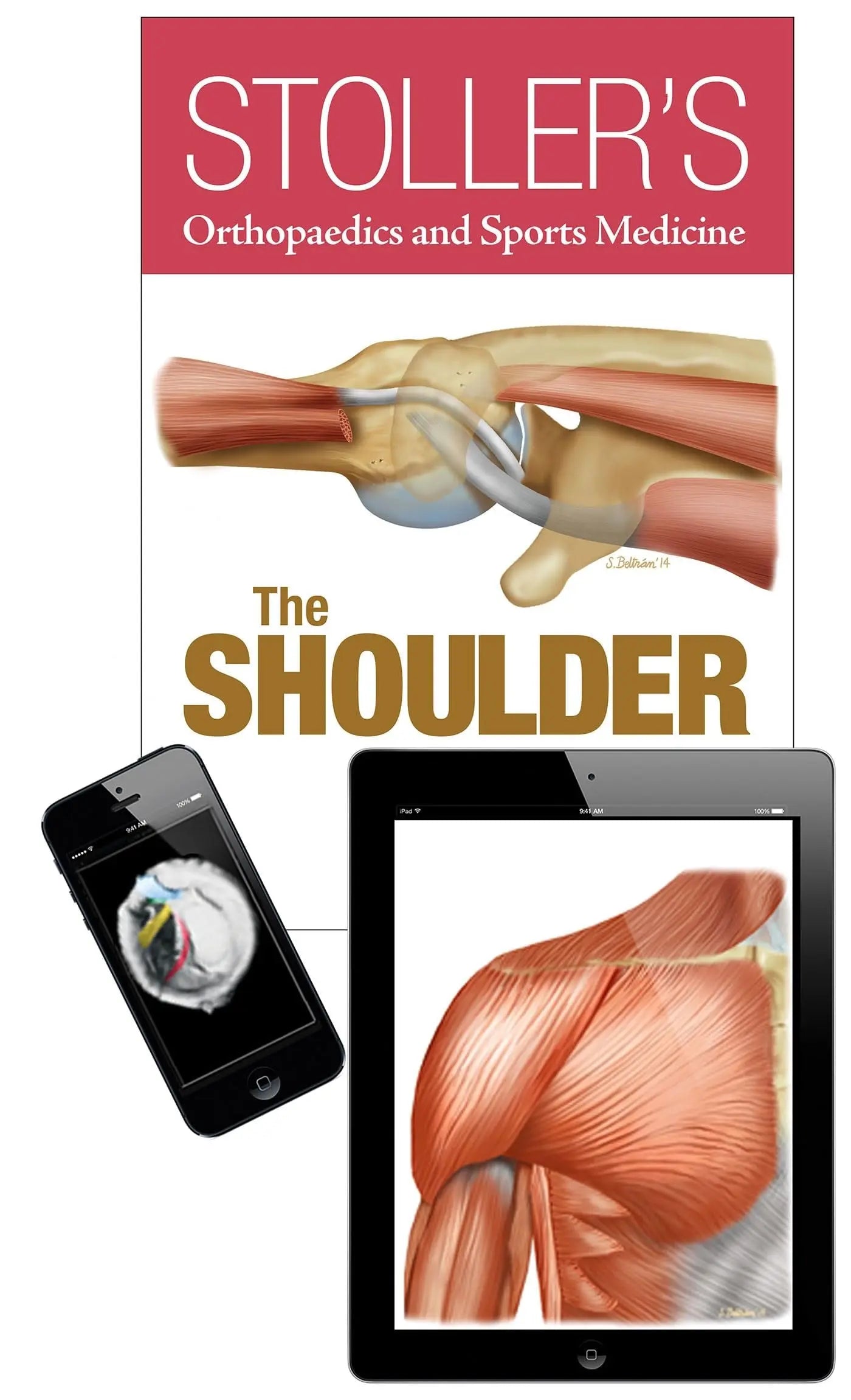Stoller's Orthopaedics and Sports Medicine: the Shoulder Package by David W. Stoller – book cover