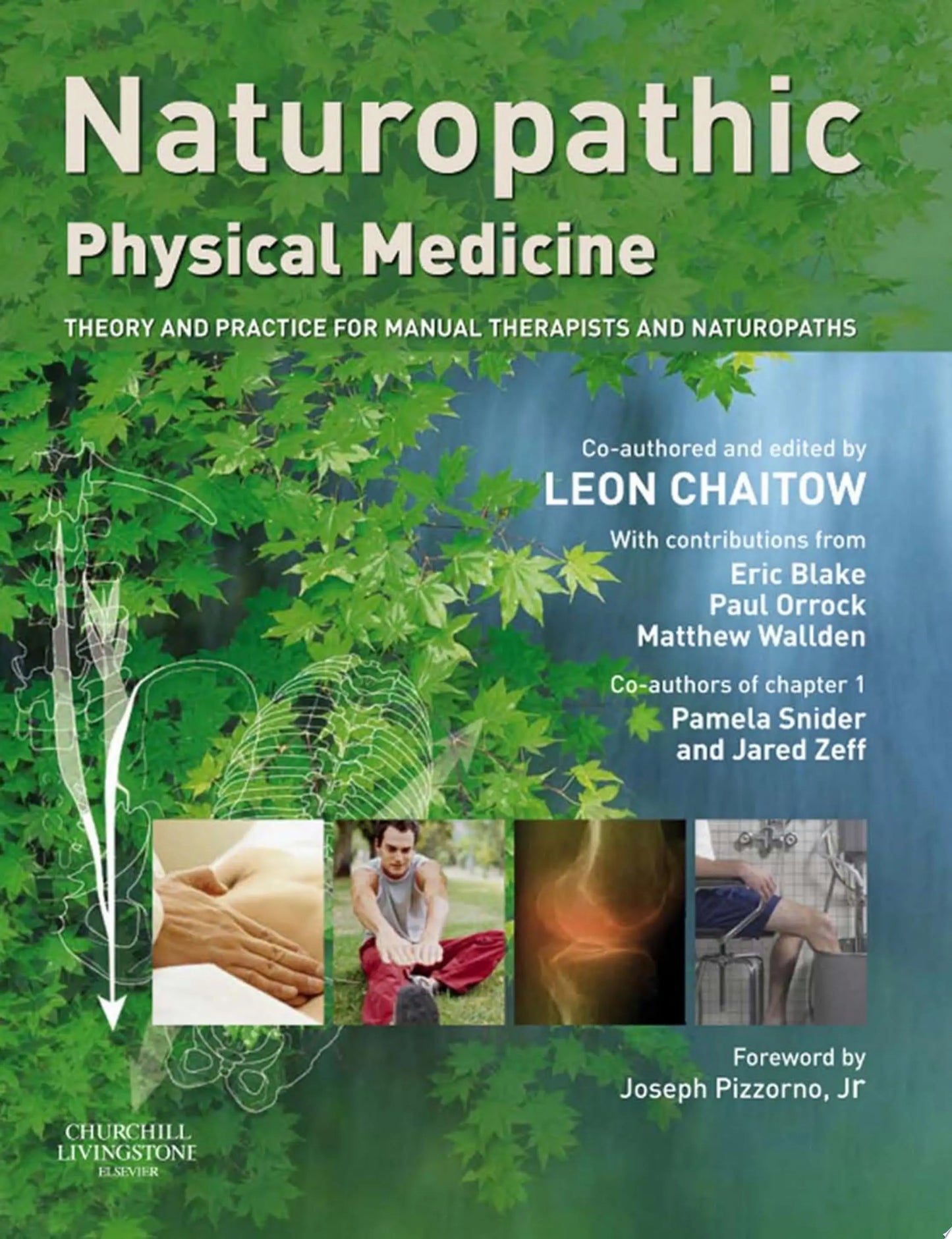 Naturopathic Physical Medicine Theory and Practice for Manual Therapists and Naturopaths by Leon Chaitow – book cover