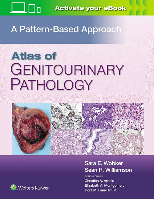 Atlas of Genitourinary Pathology A Pattern Based Approach by Sara E. Wobker