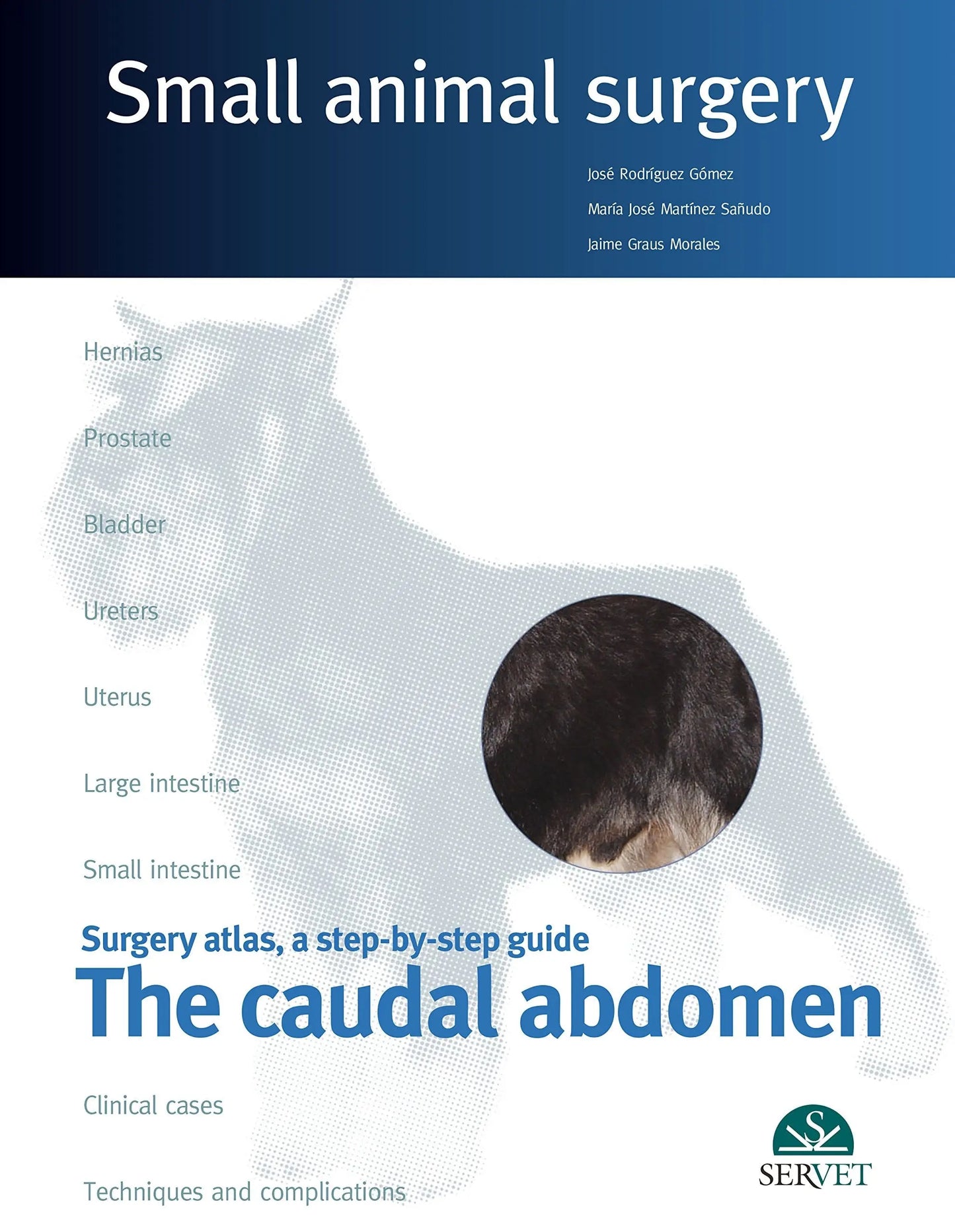 Surgery Atlas, a Step-by-step Guide The caudal abdomen by José Rodríguez Gómez (Veterinarian) – book cover