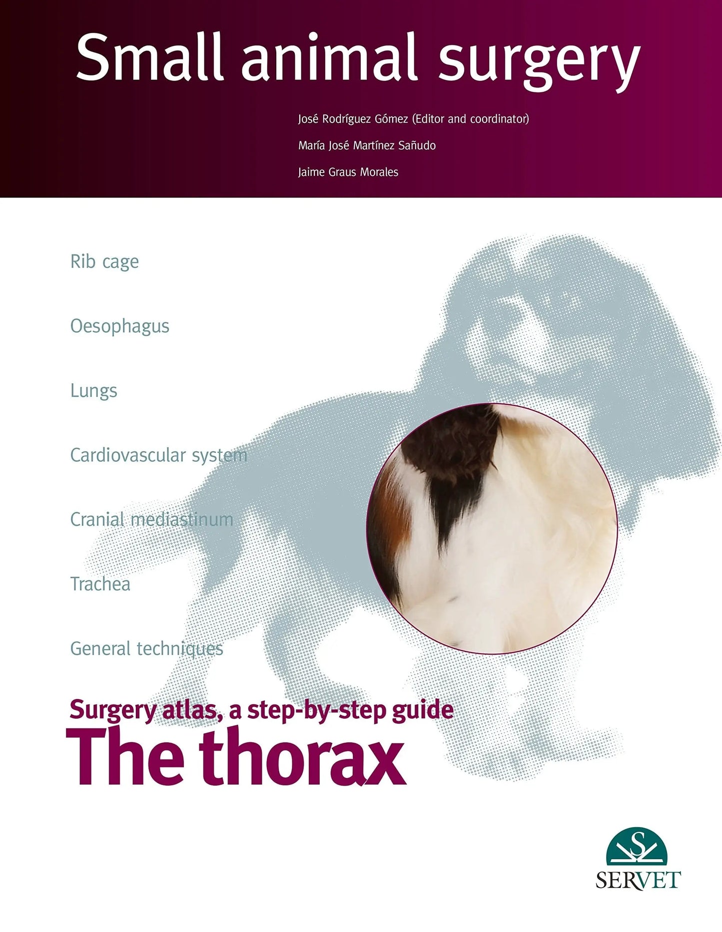 Surgical Atlas, a Step-by-step Guide The thorax by María José Martínez Sañudo – book cover