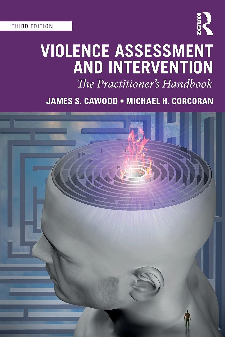 Violence Assessment and Intervention The Practitioner's Handbook Taylor & Francis Group