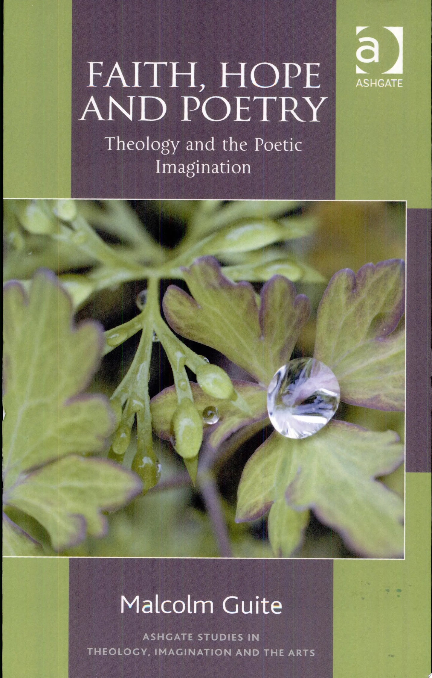 Faith, Hope and Poetry Theology and the Poetic Imagination by Malcolm Guite – book cover