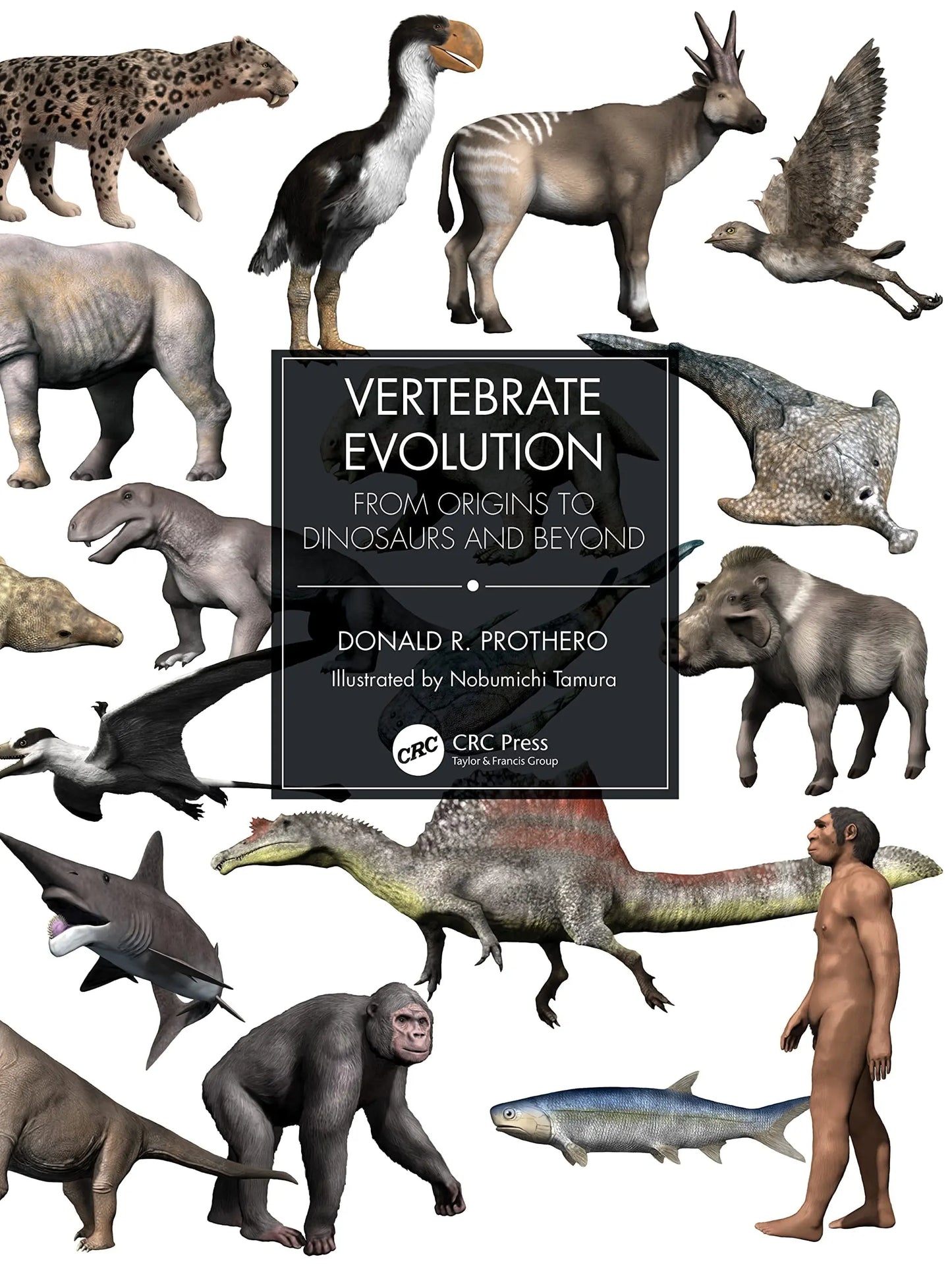 Vertebrate Evolution From Origins to Dinosaurs and Beyond by Donald R. Prothero – book cover