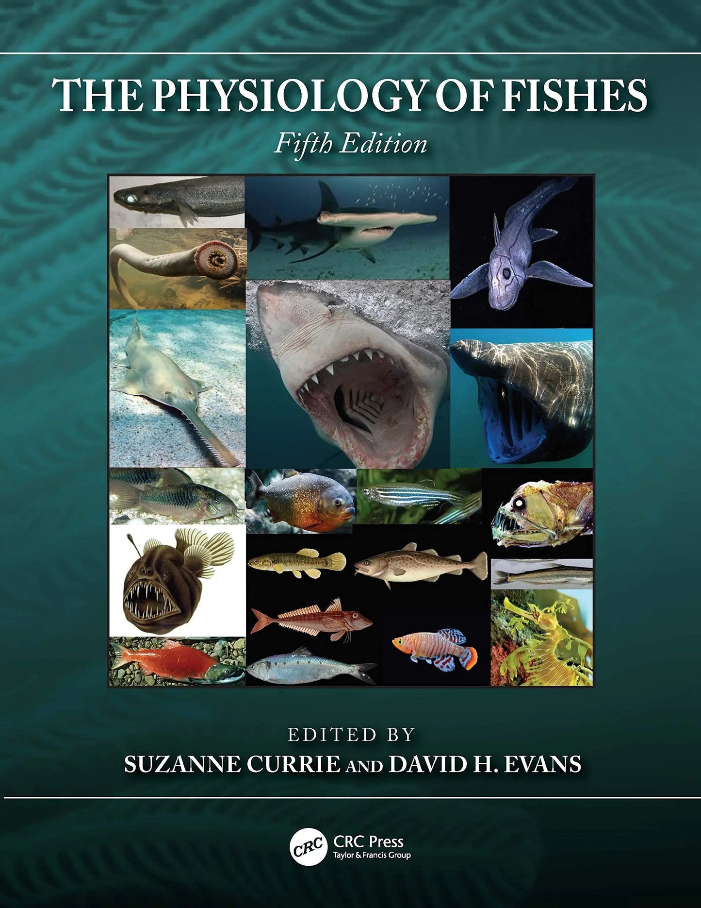 The Physiology of Fishes by Suzanne Currie – book cover