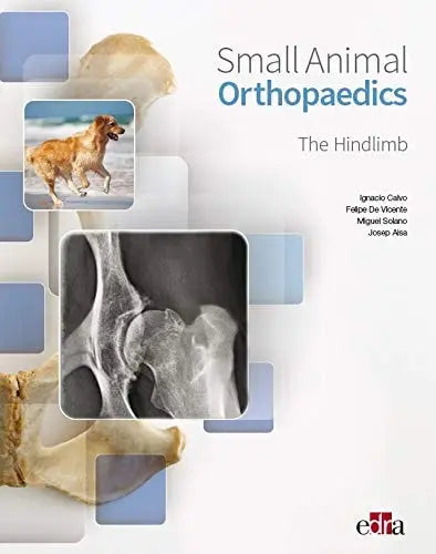 Small Animal Orthopaedics The Hindlimb by Ignacio Calvo
