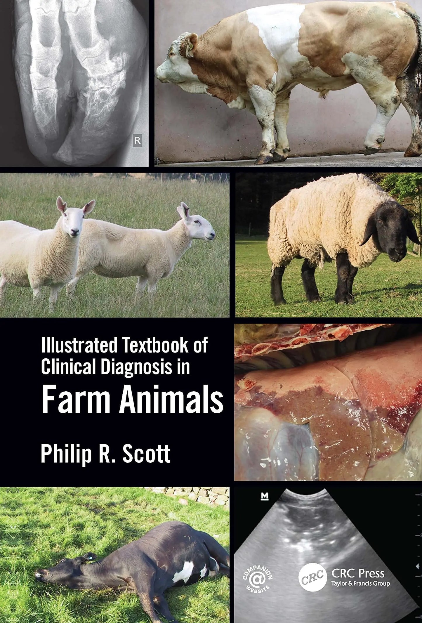 Illustrated Textbook of Clinical Diagnosis in Farm Animals by Philip R. Scott – book cover