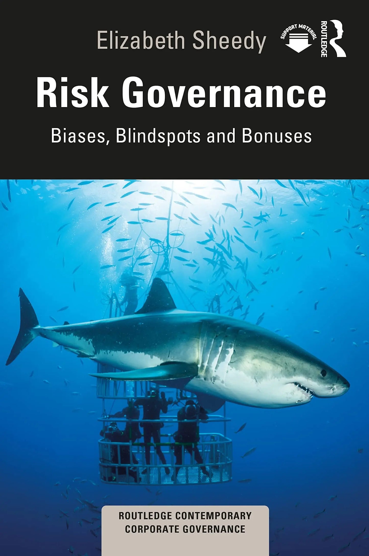 Risk Governance Biases, Blind Spots and Bonuses by Elizabeth Sheedy – book cover
