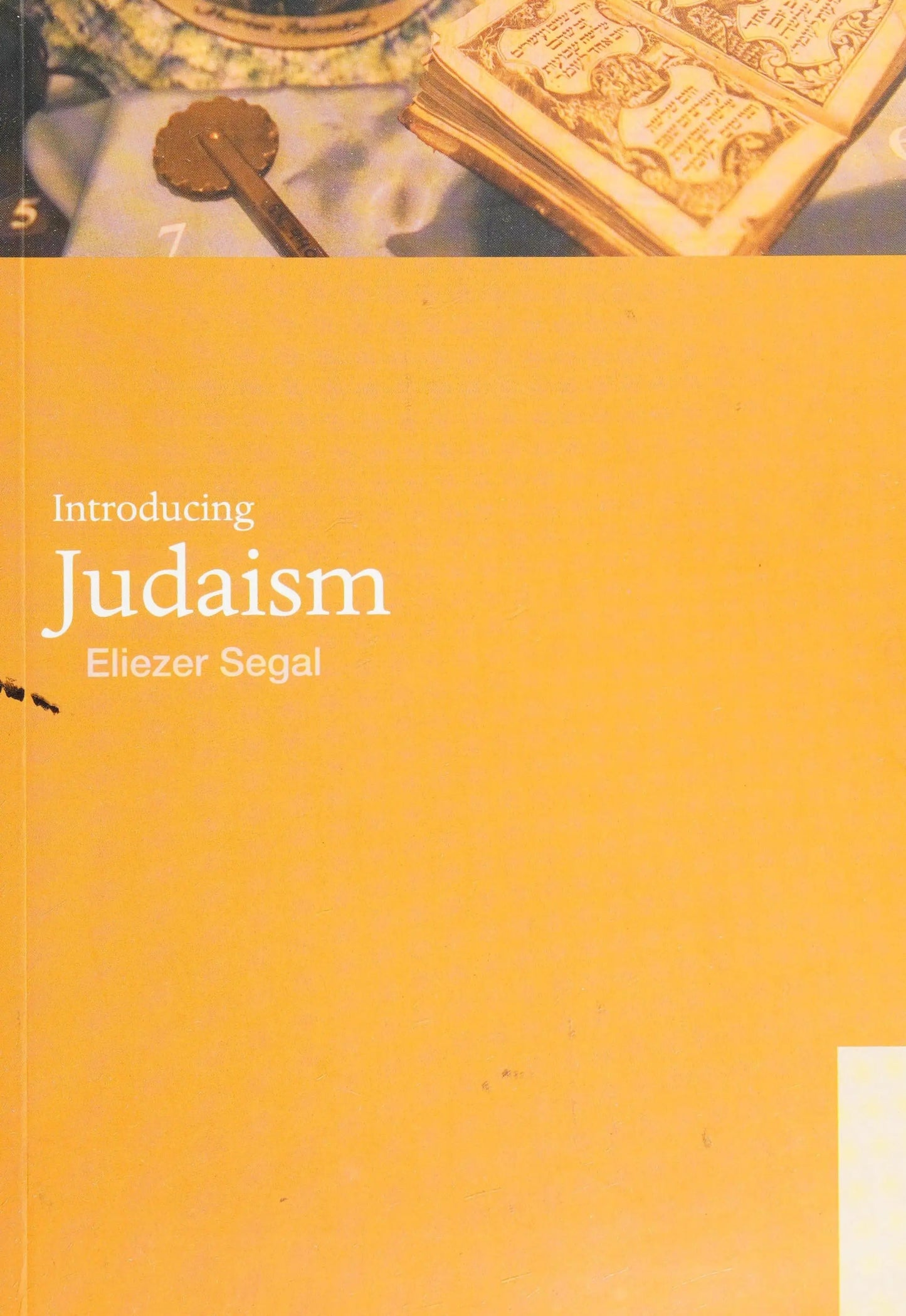 Introducing Judaism by Eliezer Segal – book cover