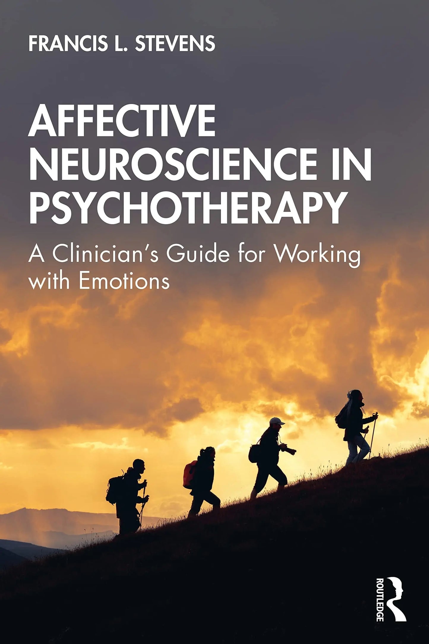 Affective Neuroscience in Psychotherapy A Clinician's Guide for Working with Emotions by Francis L. Stevens – book cover