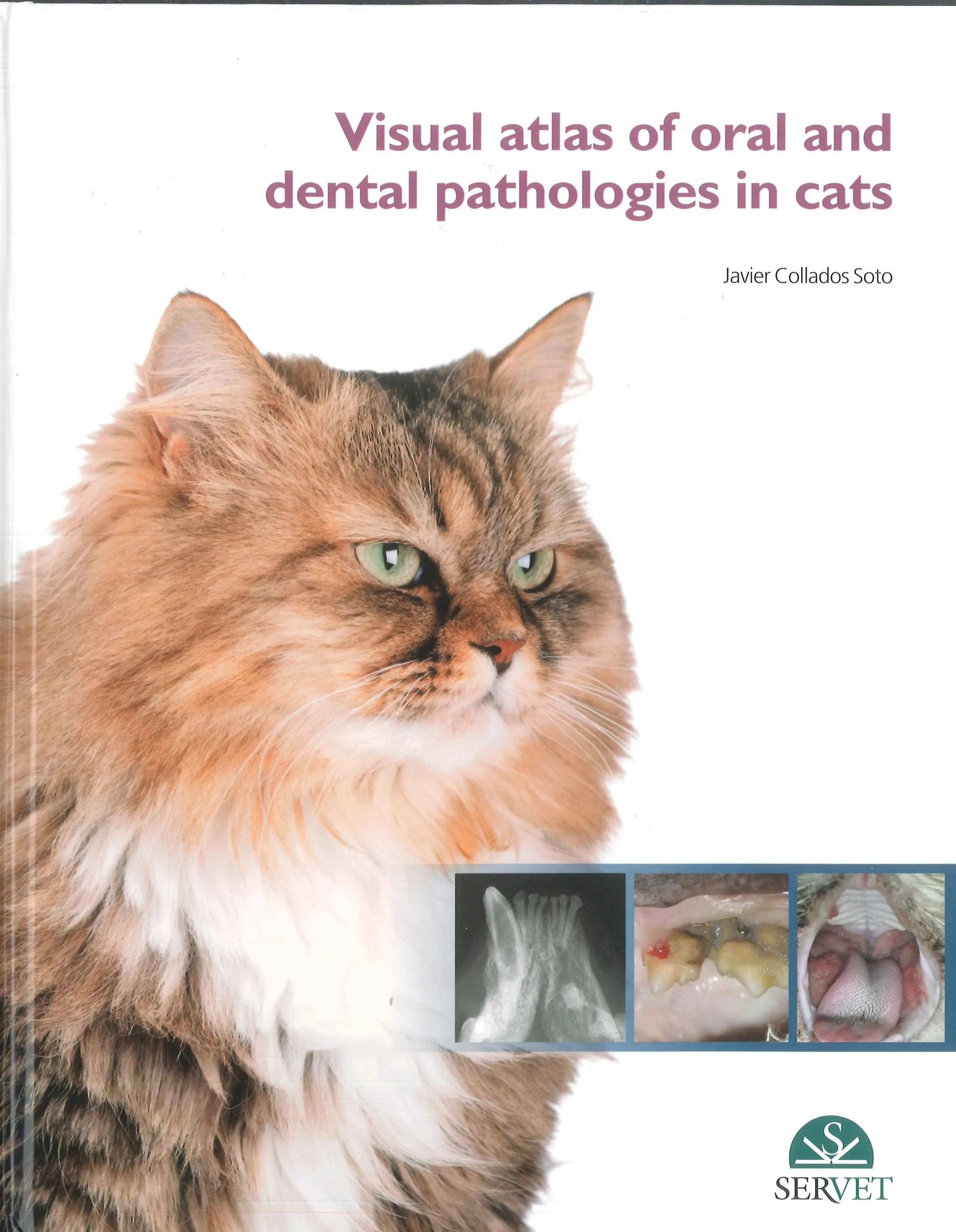 Visual Atlas of Oral and Dental Pathologies in Cats by Javier Collados Soto – book cover