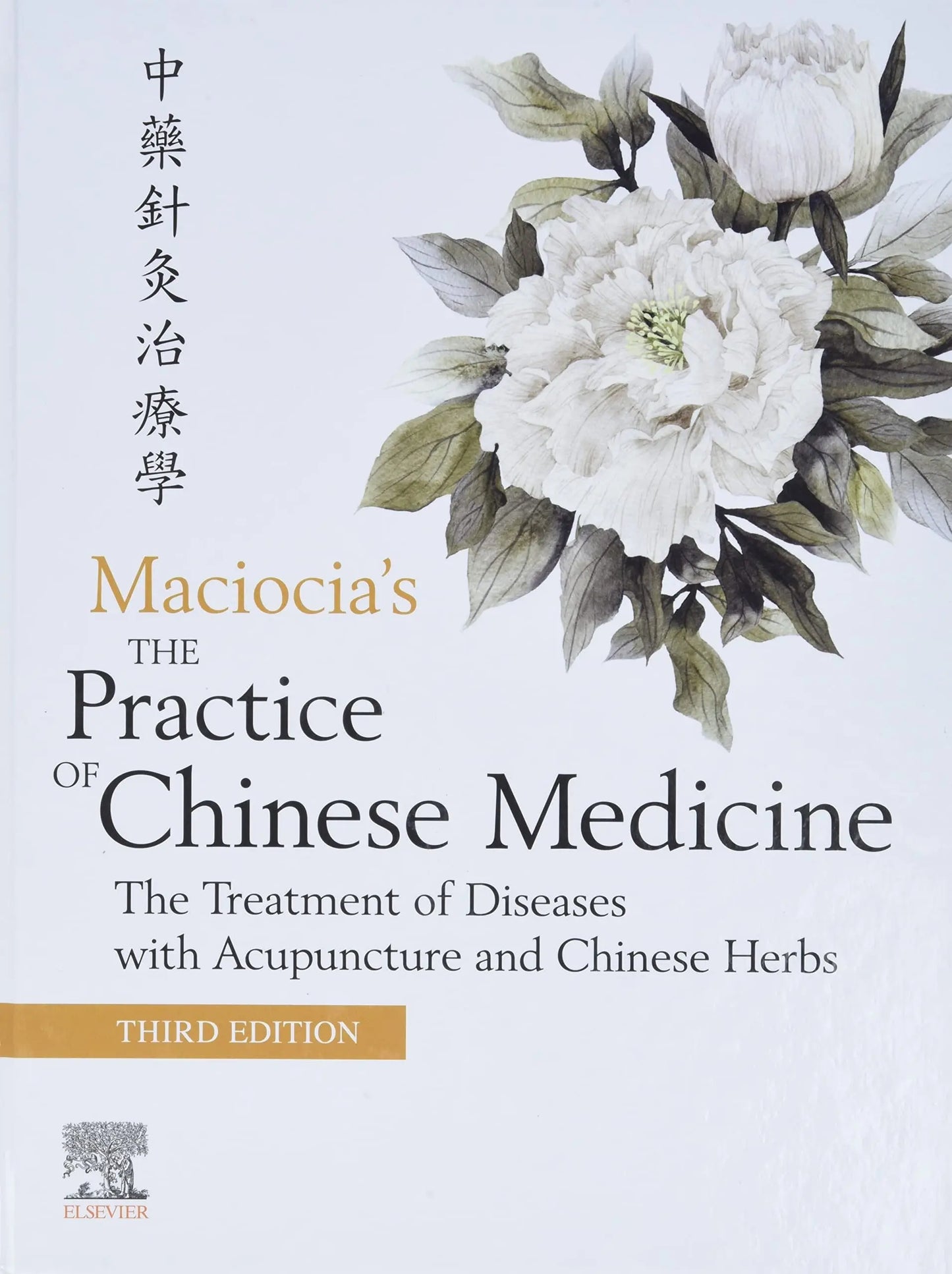 The Practice of Chinese Medicine The Treatment of Diseases with Acupuncture and Chinese Herbs by Sebastian – book cover