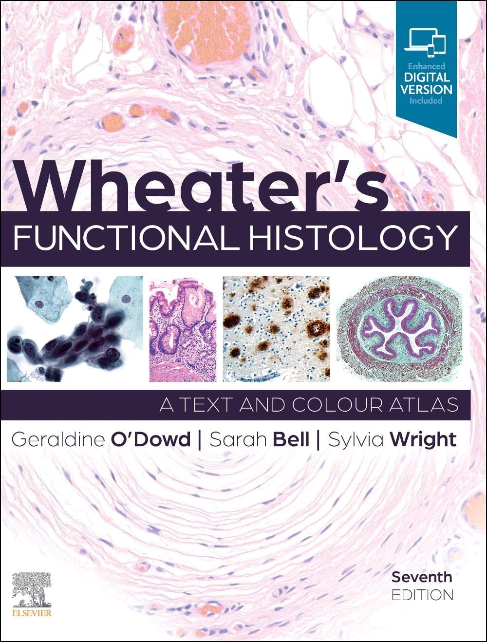 Wheater's Functional Histology A Text and Colour Atlas by Geraldine O'Dowd