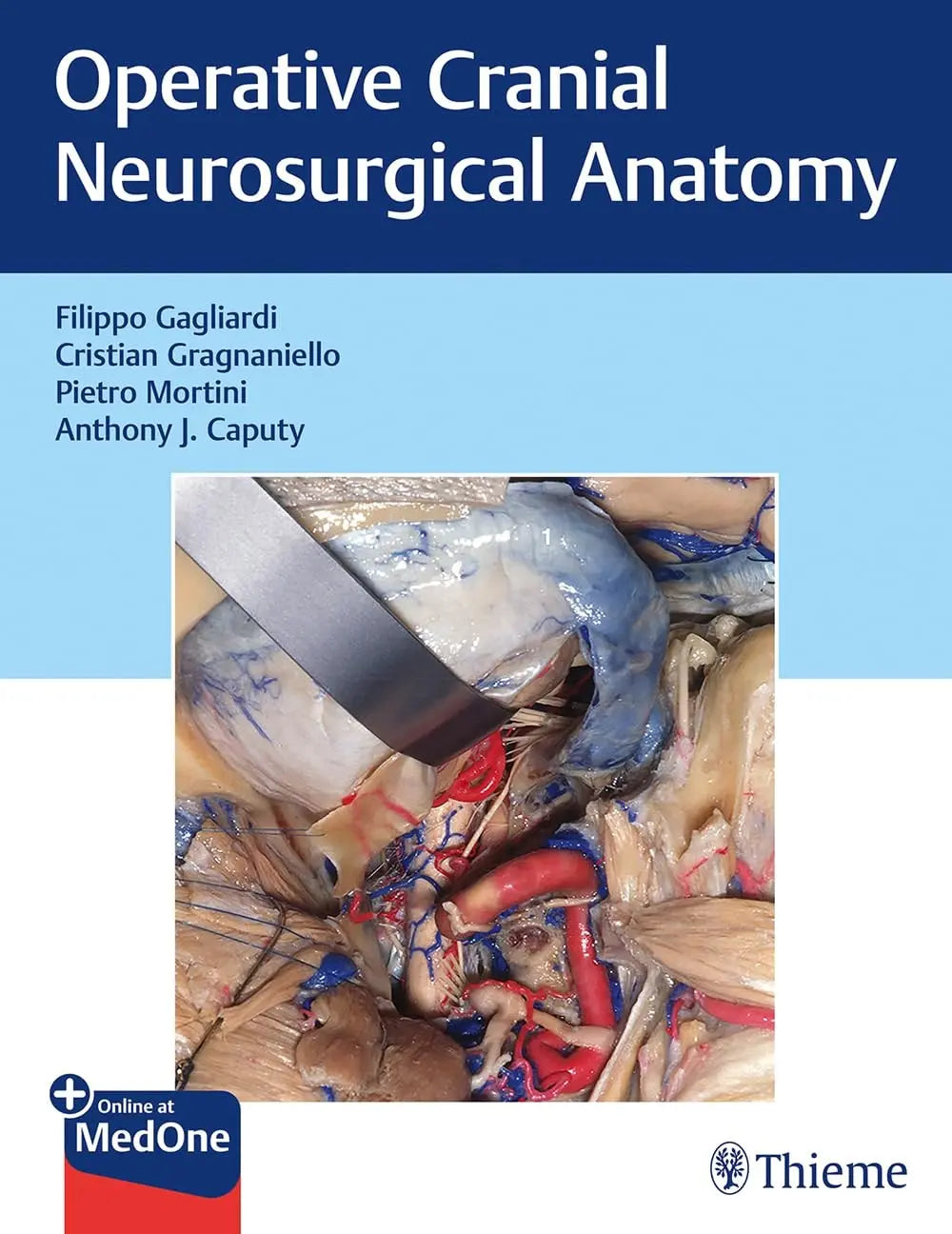Operative Cranial Neurosurgical Anatomy by Filippo Gagliardi – book cover