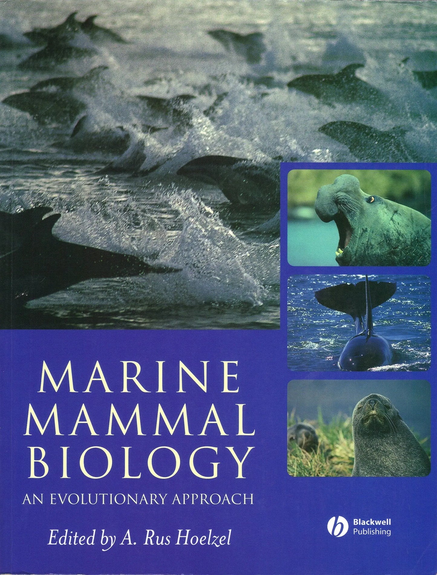 Marine Mammal Biology An Evolutionary Approach by A. Rus Hoelzel – book cover